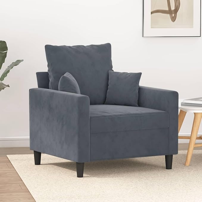 Living Room Furniture LKJVFCPW Velvet Armchair, Modern Upholstered Single Sofa Chair for Living Room, Bedroom, Reading Nook, Comfy Accent Chair with Metal Legs, Dark Grey